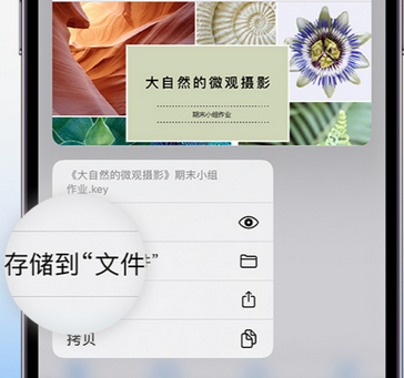 高陵apple维修中心分享iPhone文件应用中存储和找到下载文件