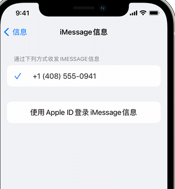 高陵apple维修iPhone上无法正常发送iMessage信息 