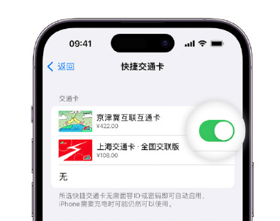 高陵apple维修点分享iPhone上更换Apple Pay快捷交通卡手绘卡面 