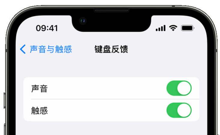 高陵苹果手机维修分享iPhone 14触感键盘使用方法 