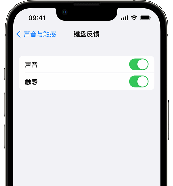 高陵苹果14维修店分享如何在 iPhone 14 机型中使用触感键盘 