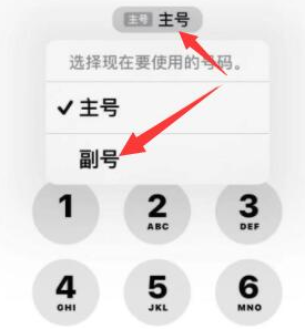 高陵苹果14维修店分享iPhone 14 Pro Max使用副卡打电话的方法 