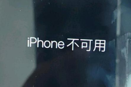 高陵苹果服务网点分享锁屏界面显示“iPhone 不可用”如何解决 