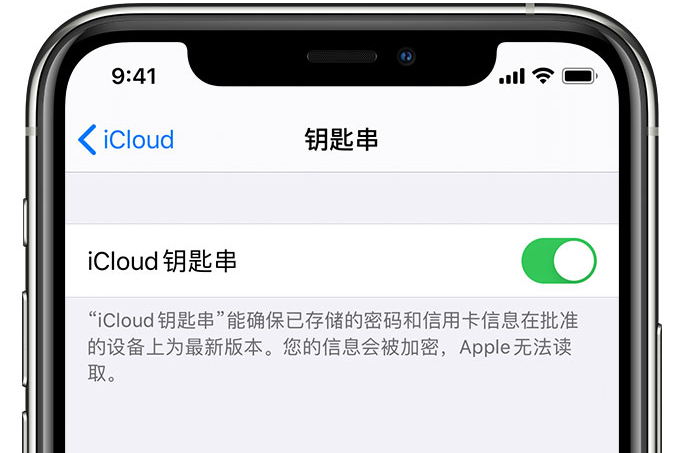 高陵苹果手机维修分享在 iPhone 上开启 iCloud 钥匙串之后会储存哪些信息 