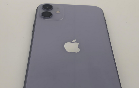 高陵苹果11系统维修分享iPhone11手机系统崩溃无法开机如何解决